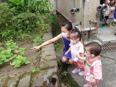 食農教育往下紮根-公托及幼兒親近菜園好處去